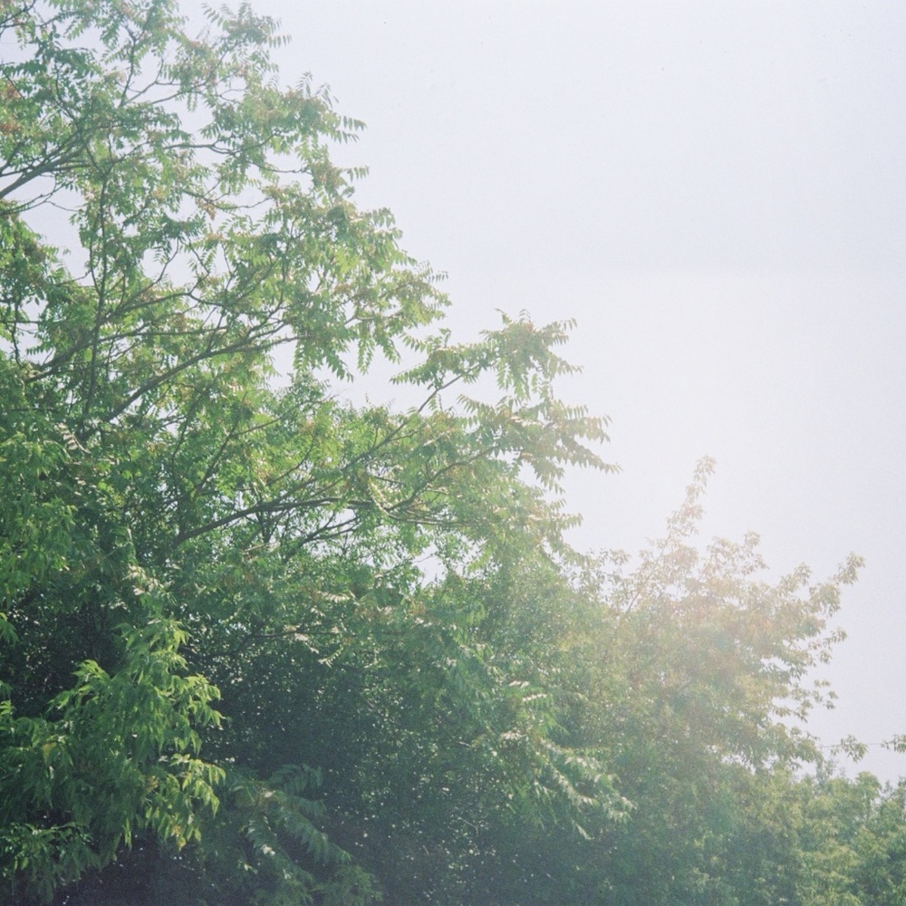 Meet your Posher, Claire